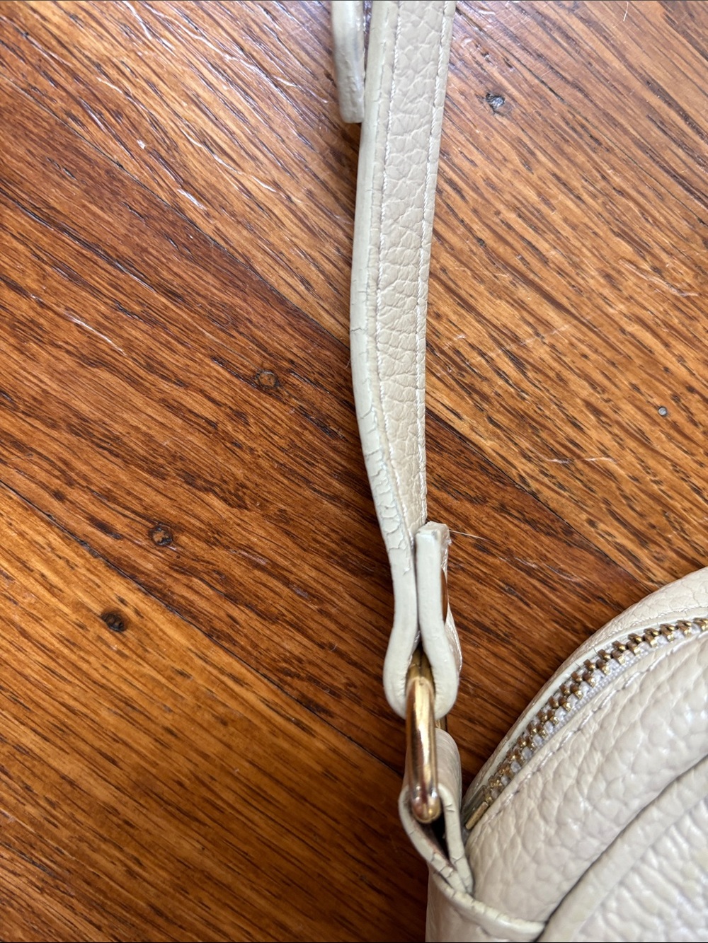Quince Italian Leather Circle Crossbody Bag in Stone - Picture 5 of 8